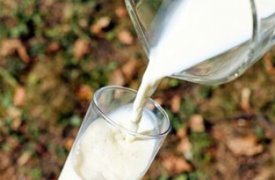 Here are health benefits of milk